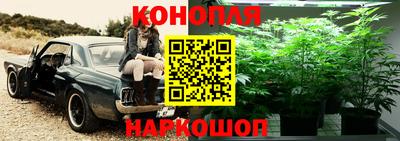 дмт Лесосибирск